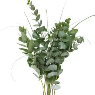 Lõikeroheline
