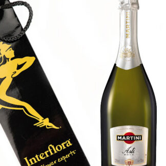 Martini Asti vahuvein