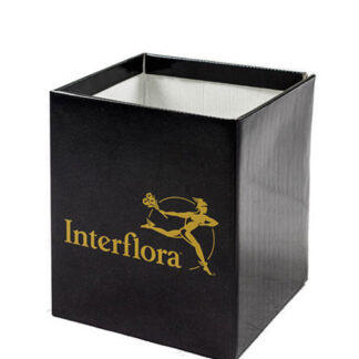 Interflora vaike karp - GBIT